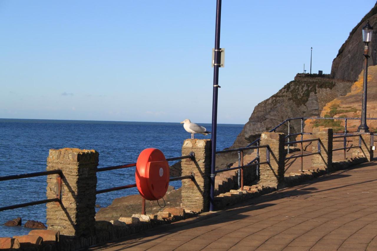 The Olive Branch Bed and Breakfast Ilfracombe Exterior foto